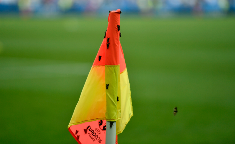 Pollillas en un banderín de córner. Imagen: Martin Meissner / AP